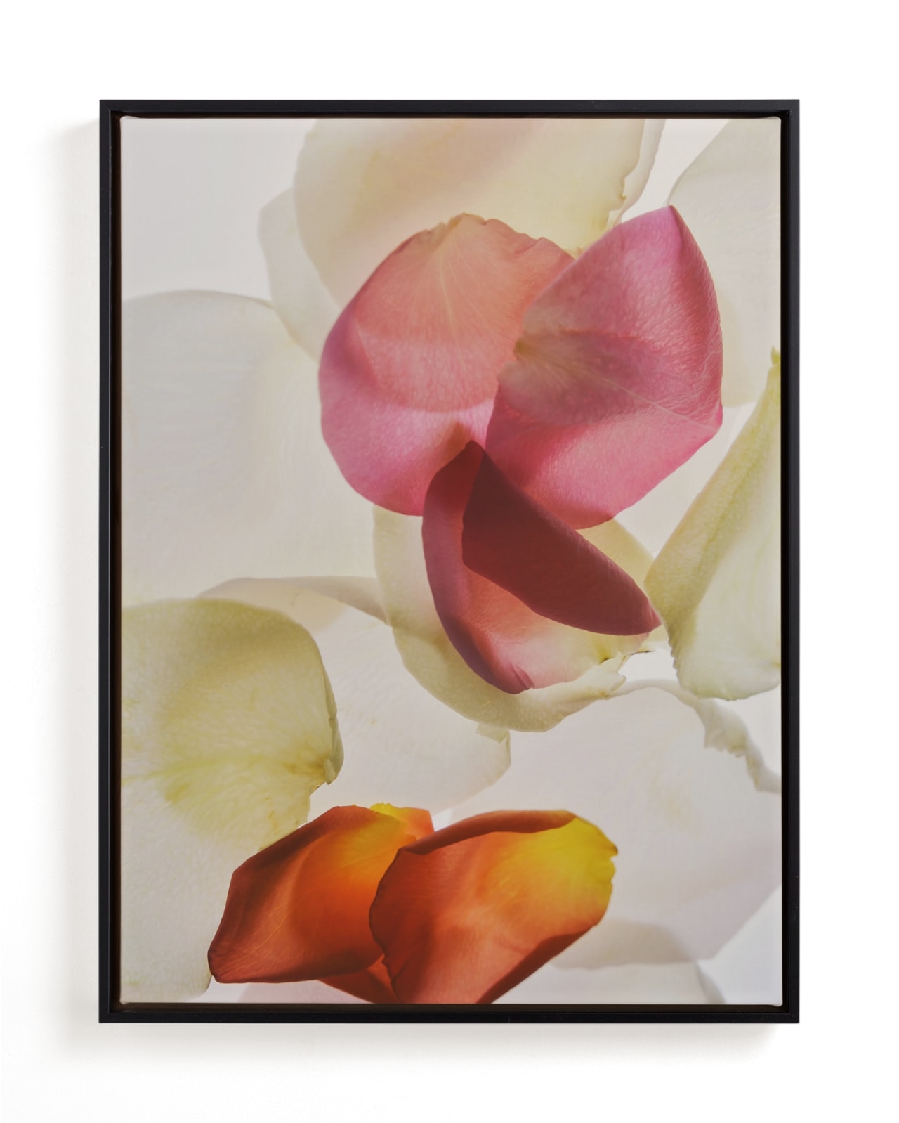 Inventing A Flower Limited Edition Fine Art Print 2 - Image 0