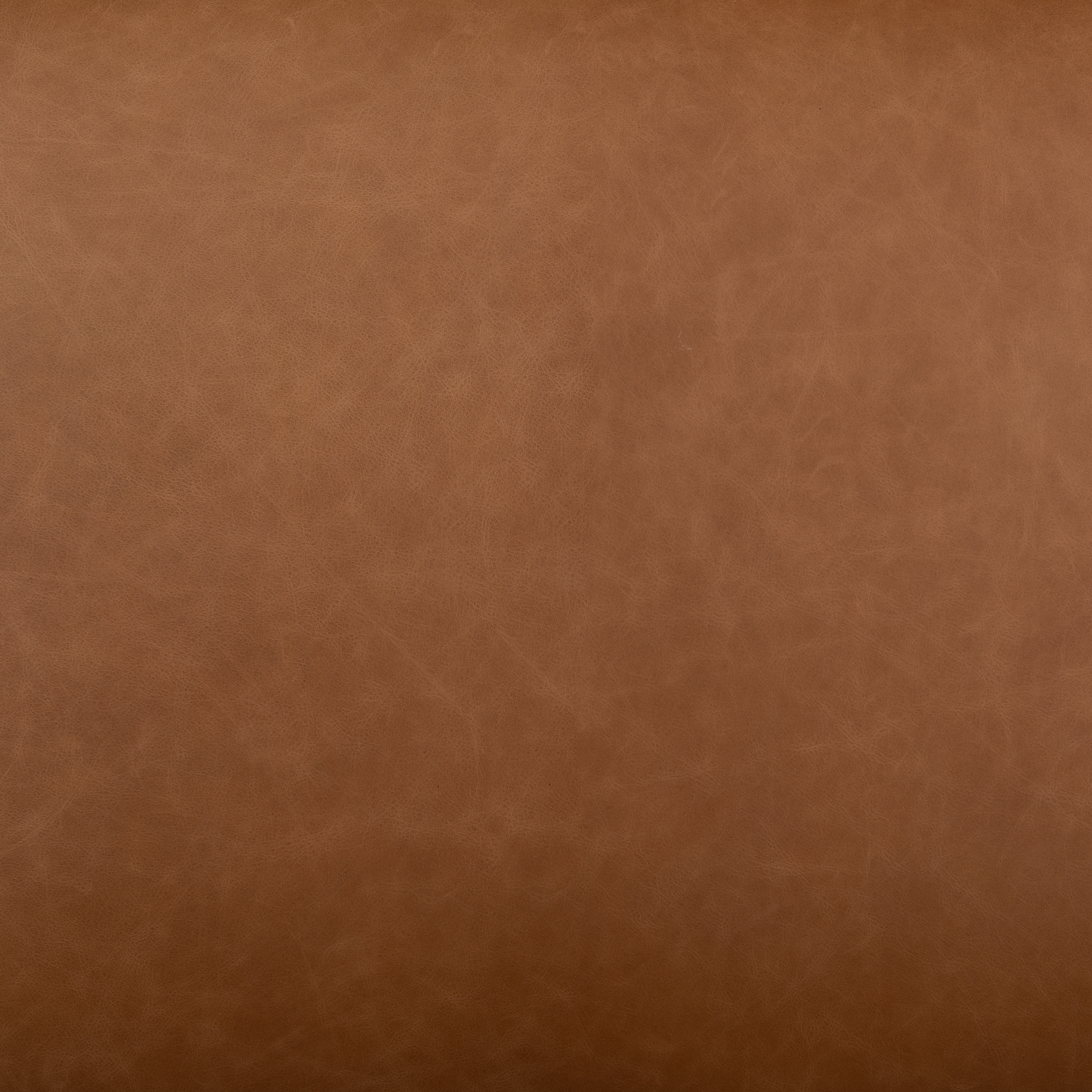 Hawkins Dining Bench - Sonoma Butterscotch - Image 6