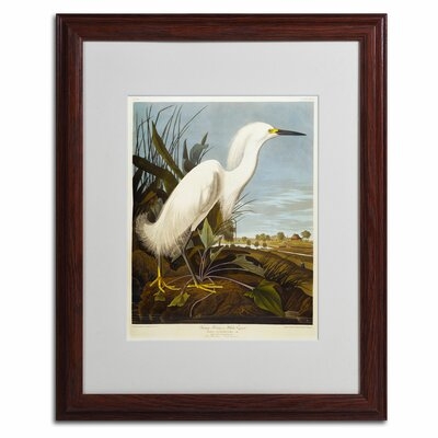 Snowy Heron by John James Audubon Matted Framed Painting Print - Image 0