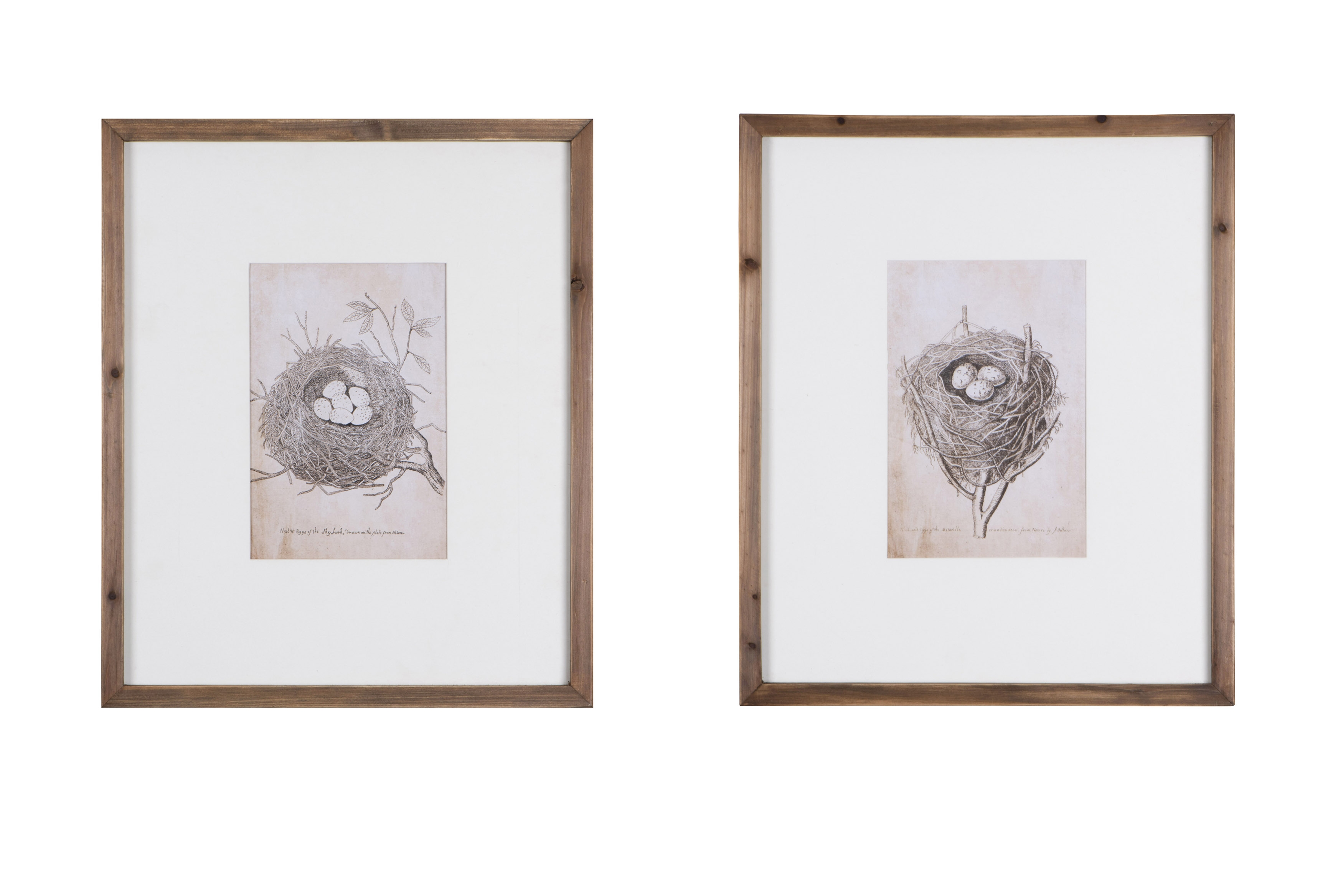 Wood Framed Wall Décor with Nest & Eggs (Set of 2 Designs) - Image 0