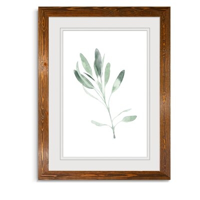 'Simple Sage II' - Picture Frame Print on Glass - Image 0