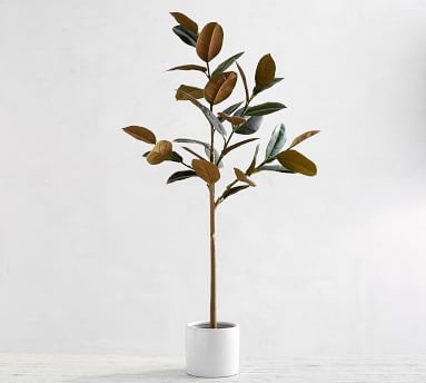 Faux Variegated Rubber Tree, Dark Green, Large - Image 3