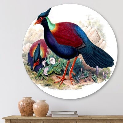 Vintage Birds In The Wild II - Traditional Metal Circle Wall Art - Image 0