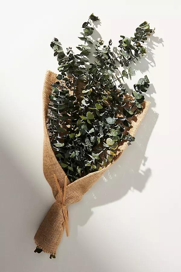 Dried Eucalyptus Bouquet, Green - Image 0