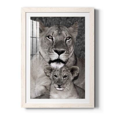 Lioness And Cub-Premium Framed Print - Ready To Hang - Image 0