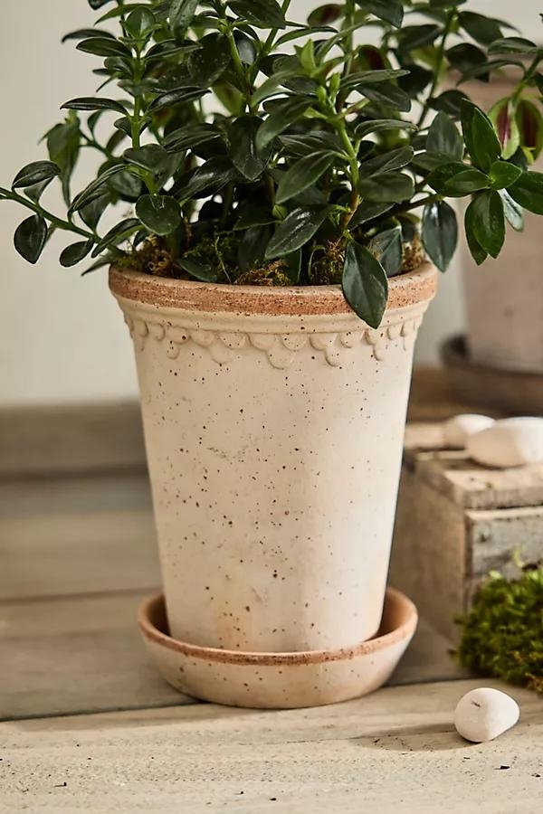 Tall Copenhagen Terracotta Pot + Saucer Set - Image 0