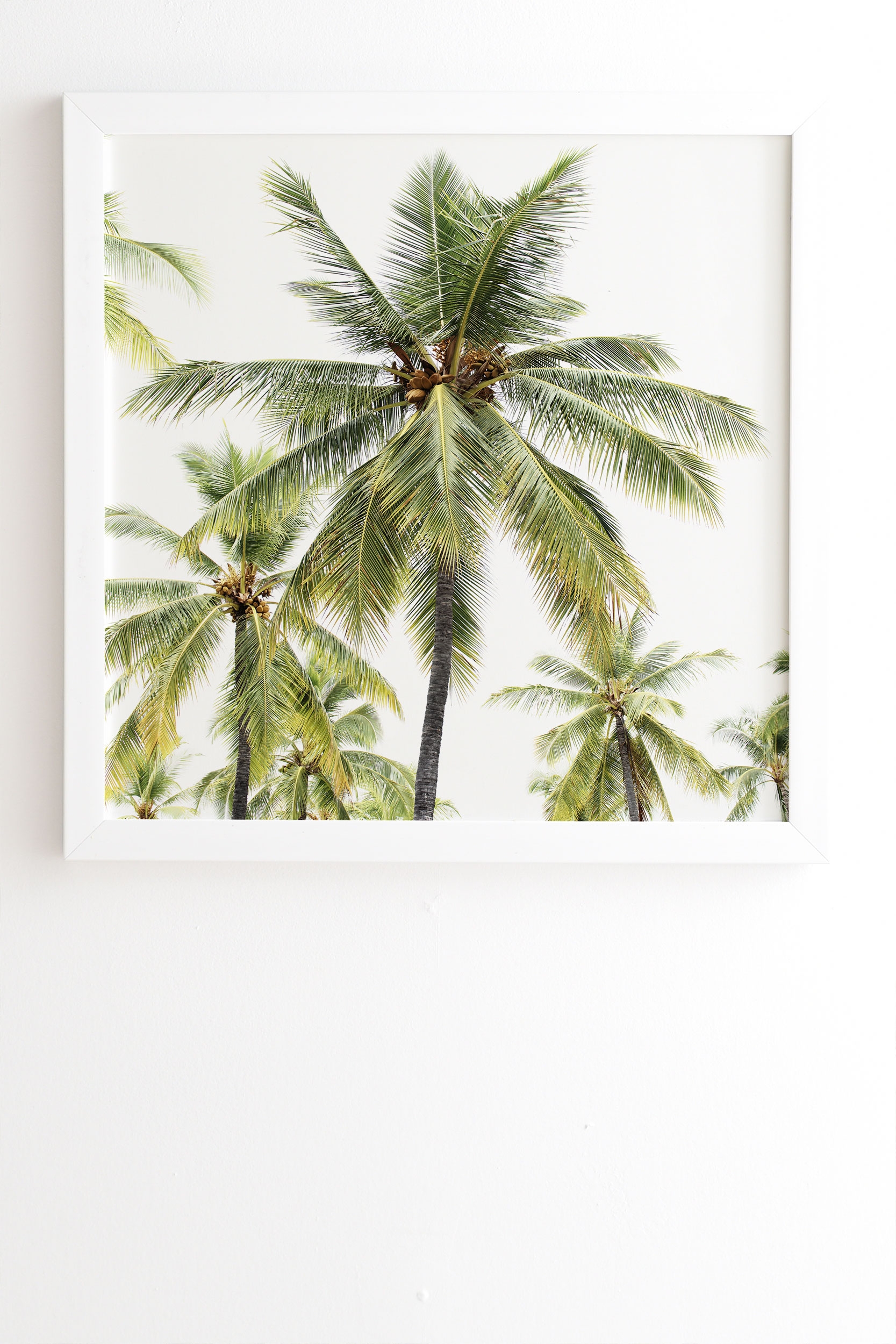 Coconut Palms by Bree Madden - Framed Wall Art Basic White 8" x 9.5" - Image 1