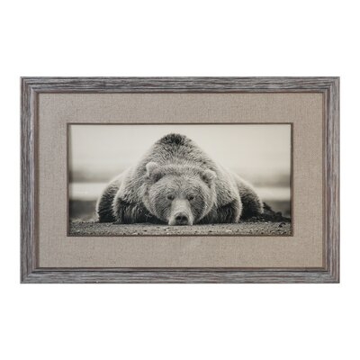 'Deep Sleep Bear' by PH Burchett - Picture Frame Photograph Print on Paper - Image 0