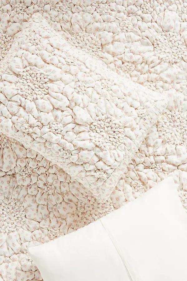 Dahlia Cotton Voile Floral Printed Textured Shams, Set of 2 - Image 0