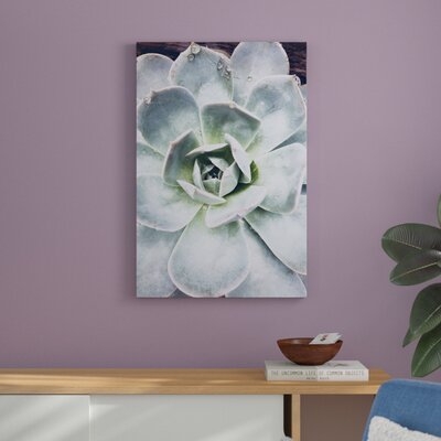 Pastel Succulent Beauty IV by Irena Orlov Photograph Print on Canvas - Image 0