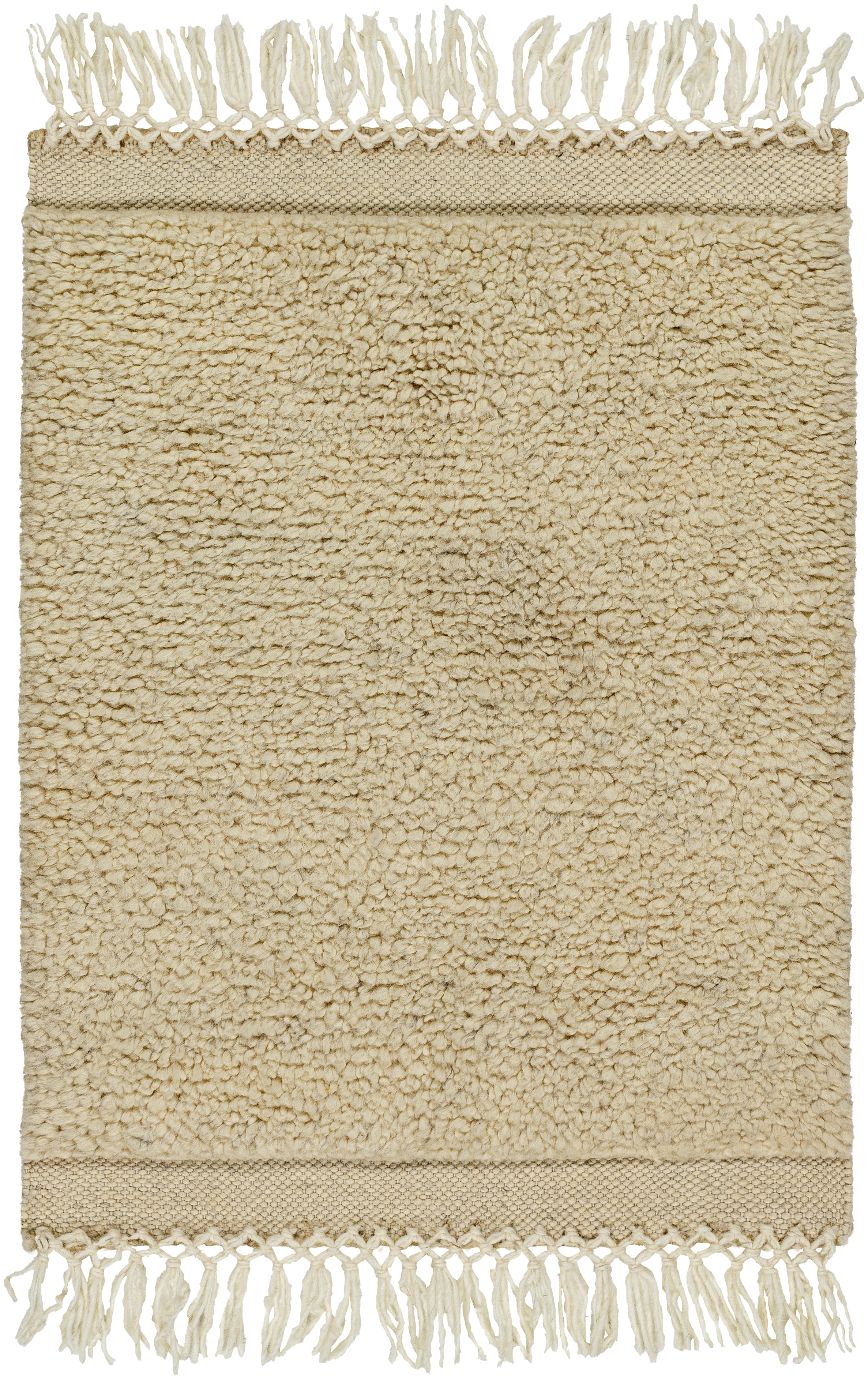 Mabel Beige Indoor 9' x 12' Handmade Rug - Image 0