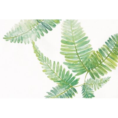 Ferns II by Chris Paschke - Wrapped Canvas Painting Print - Image 0