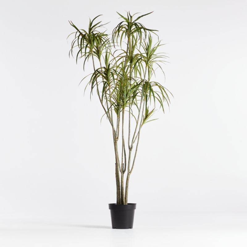 Potted Faux Dracaena 6.5' - Image 2