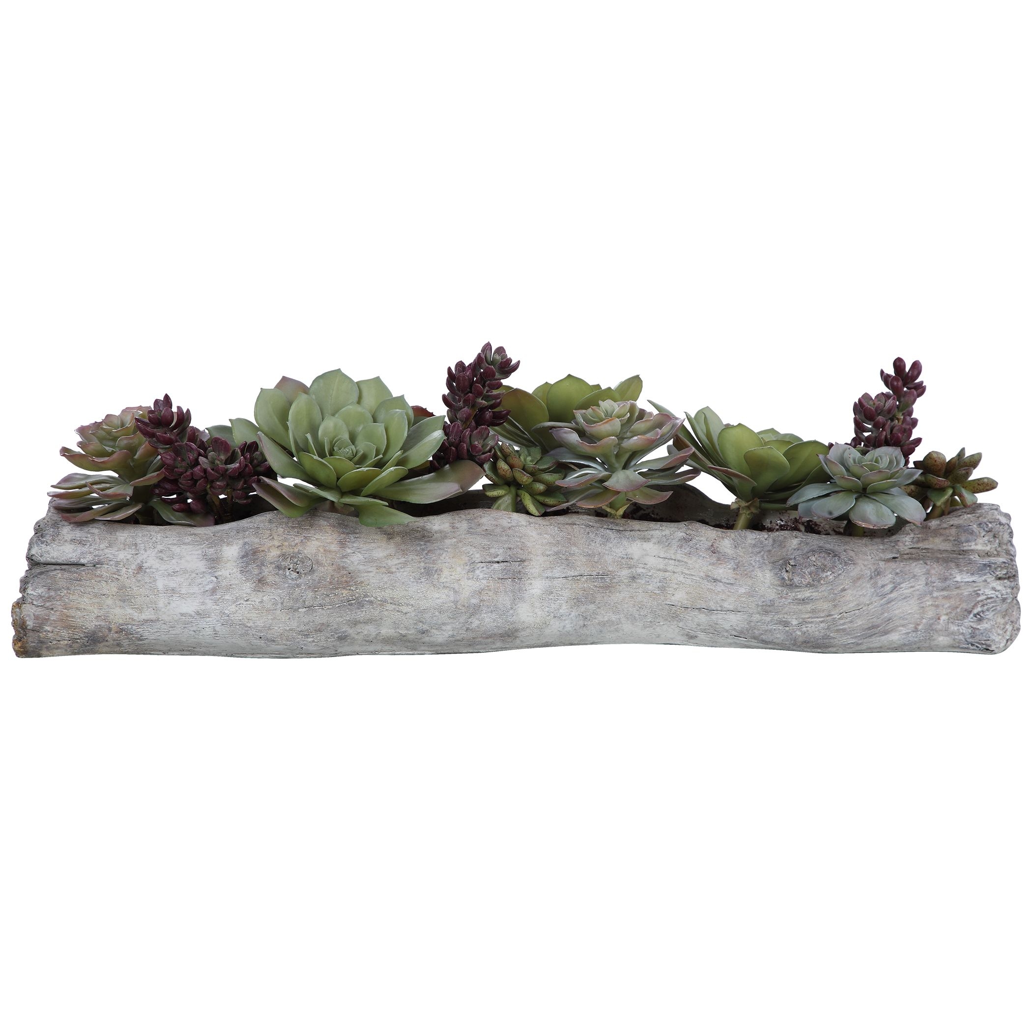 Charita Lush Succulents - Image 2