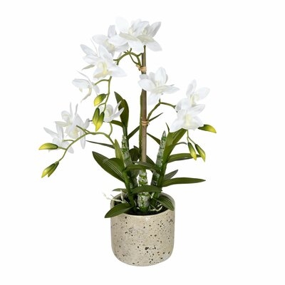 Artificial Cycnoches Plant in Pot - Image 0