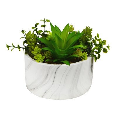 3" Artificial Succulent in Pot - Image 0