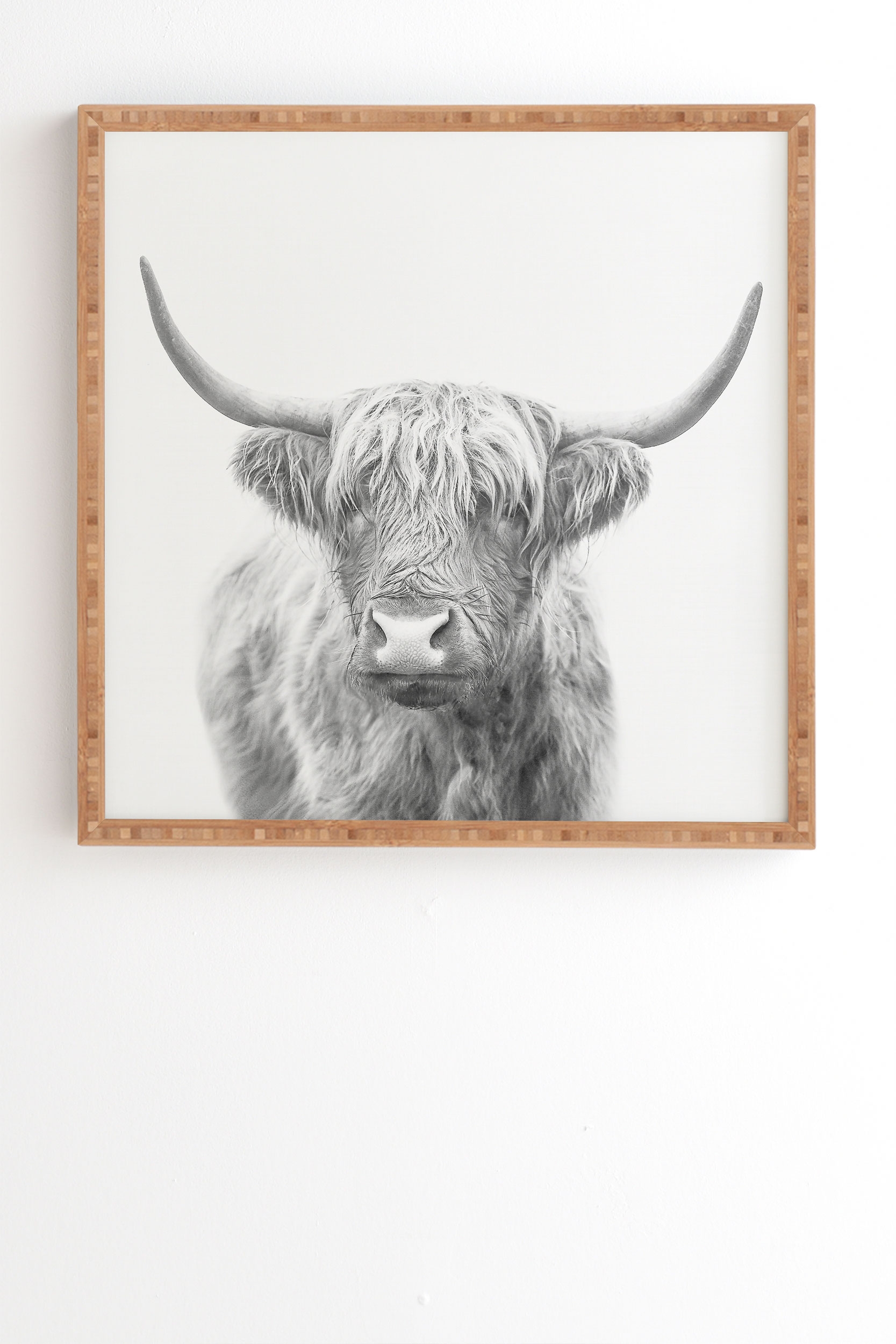 Highland Bull by Sisi and Seb - Framed Wall Art Bamboo 30" x 30" - Image 0