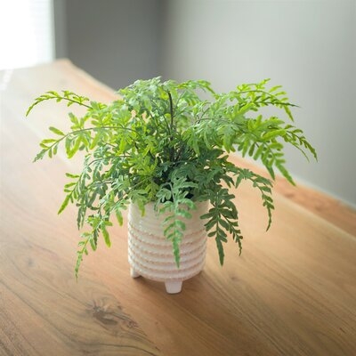8" Artificial Fern Plant in Planter - Image 0