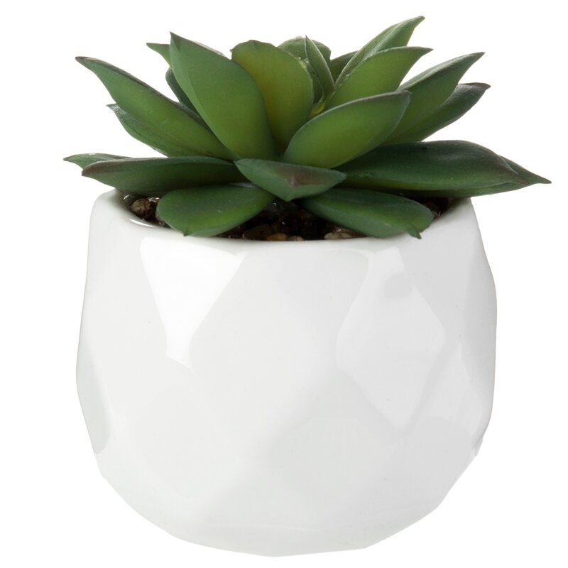 4-Piece Artificial Succulent Plant in Pot - Image 4