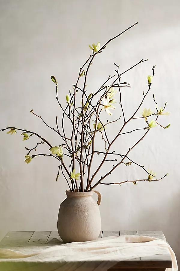 Yellow Tulip Magnolia Branches - Image 0