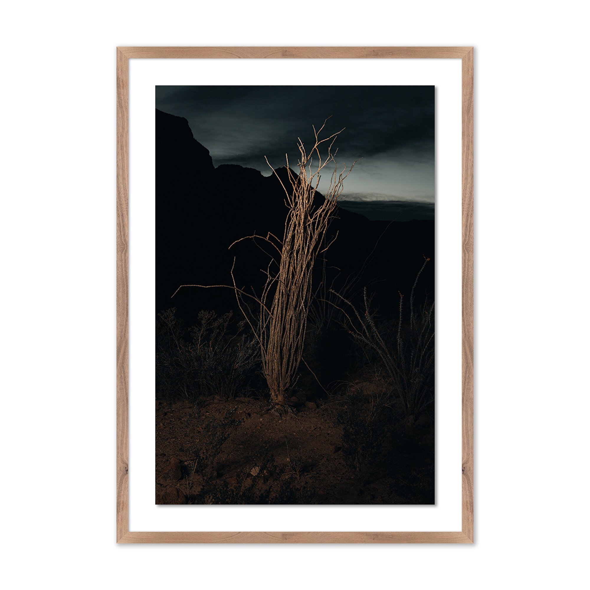 Ocotillo II by Mandy Steinback - Rustic 2.5 Walnut - Image 0