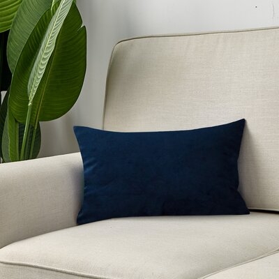 Hollaway Rectangular Velvet Pillow Cover & Insert - Image 0