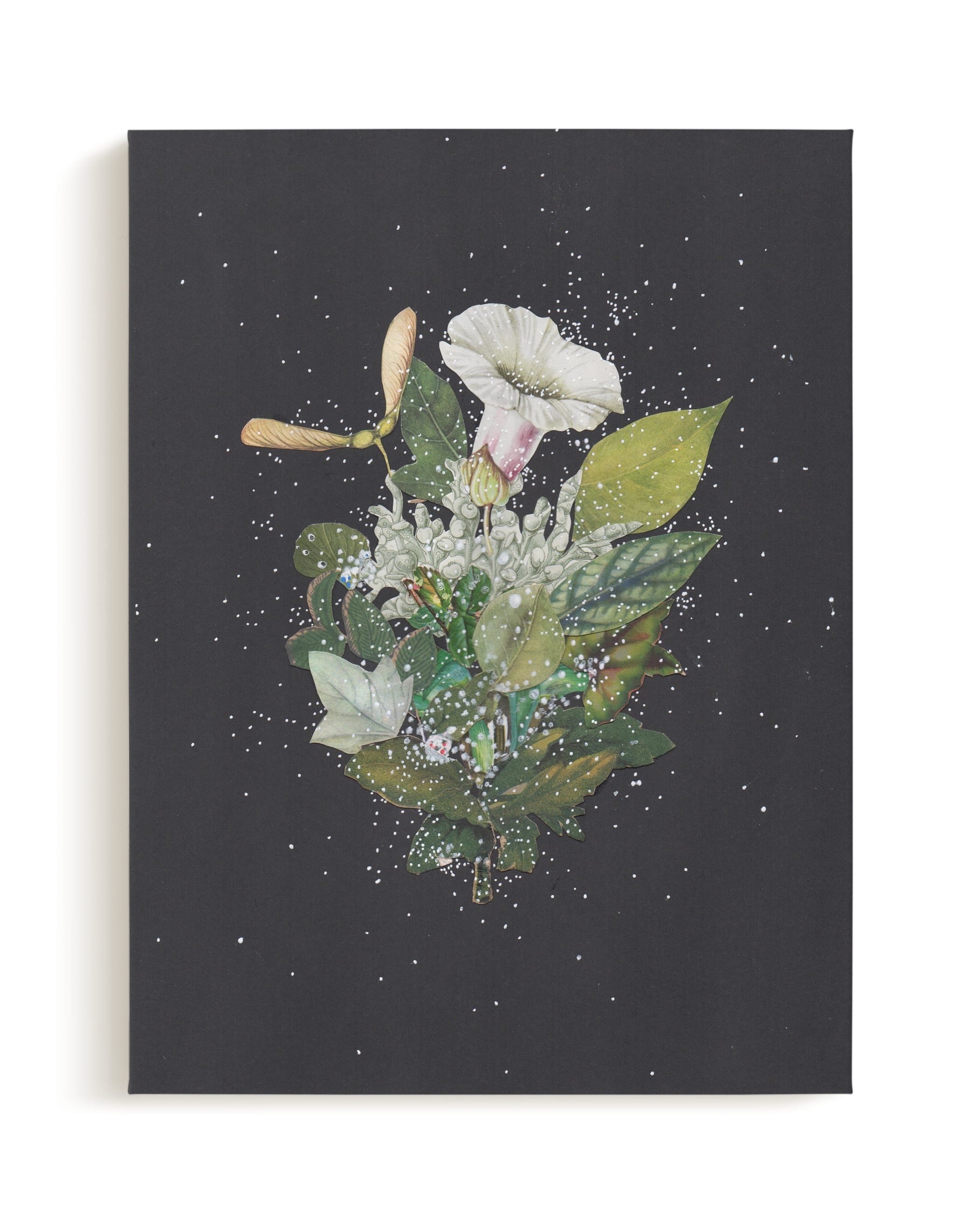 Night Mint Blossom Limited Edition Fine Art Print 1 - Image 0