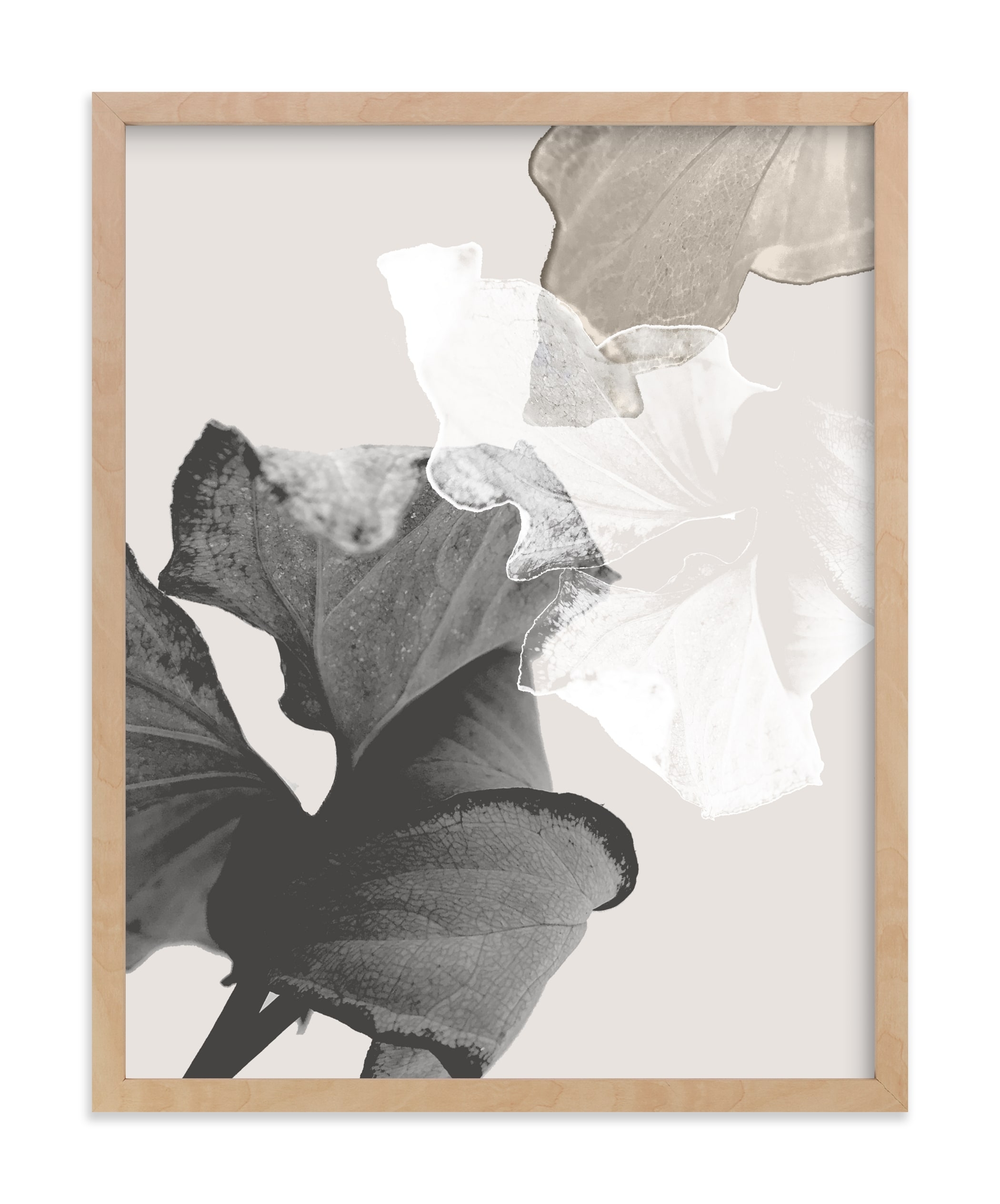 Refractions Limited Edition Fine Art Print 1 - Image 0