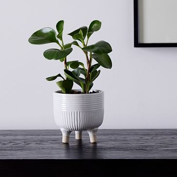 Homespun Tabletop Planter, Small, Ceramic White - Image 3