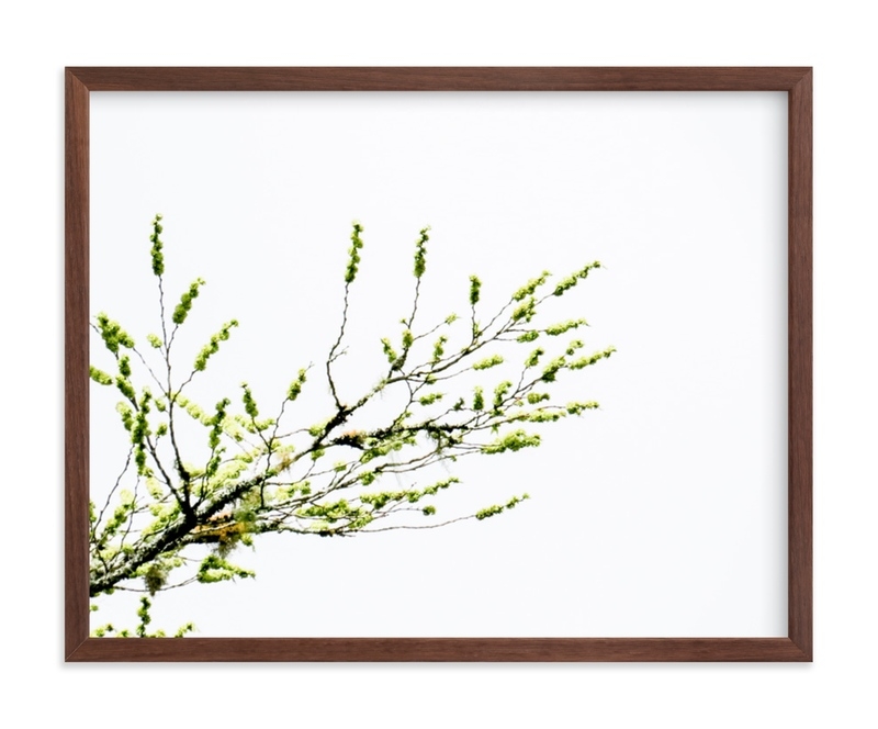 Sun Seeking Limited Edition Fine Art Print 1 - Image 0