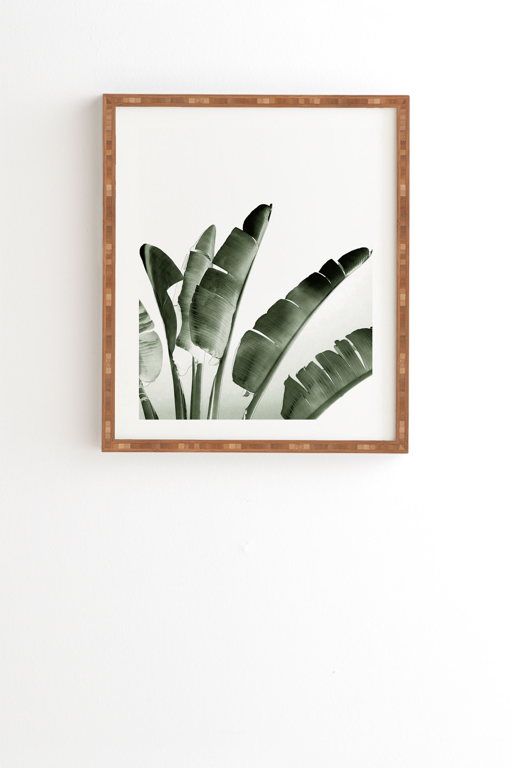 Traveler Palm by Gale Switzer - Framed Wall Art Bamboo 19" x 22.4" - Image 0