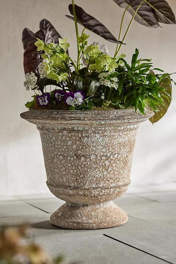 Barnacle Aeros Urn - Image 0