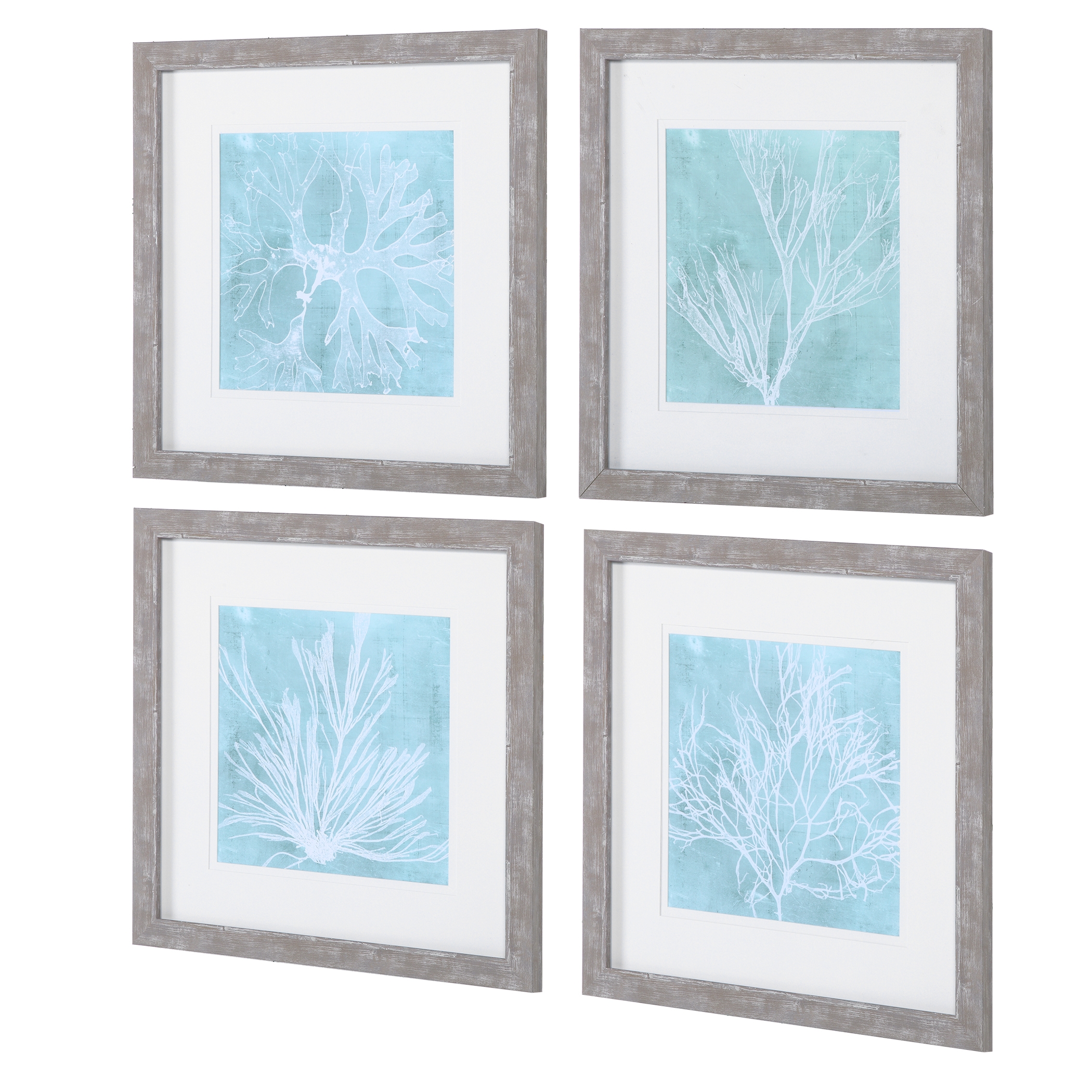 Seaweed On Aqua Framed Prints S/4 - Image 4