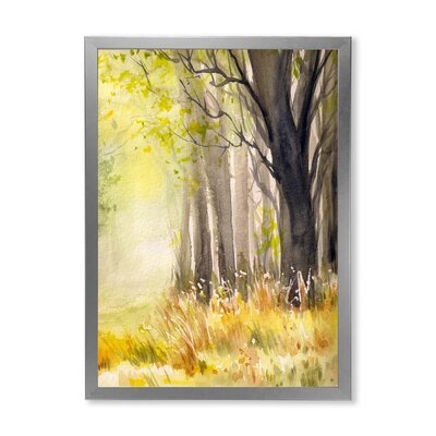 Bright Sunshine Through The Forest Trees II - Traditional Canvas Wall Art Print FDP35521 - Image 0