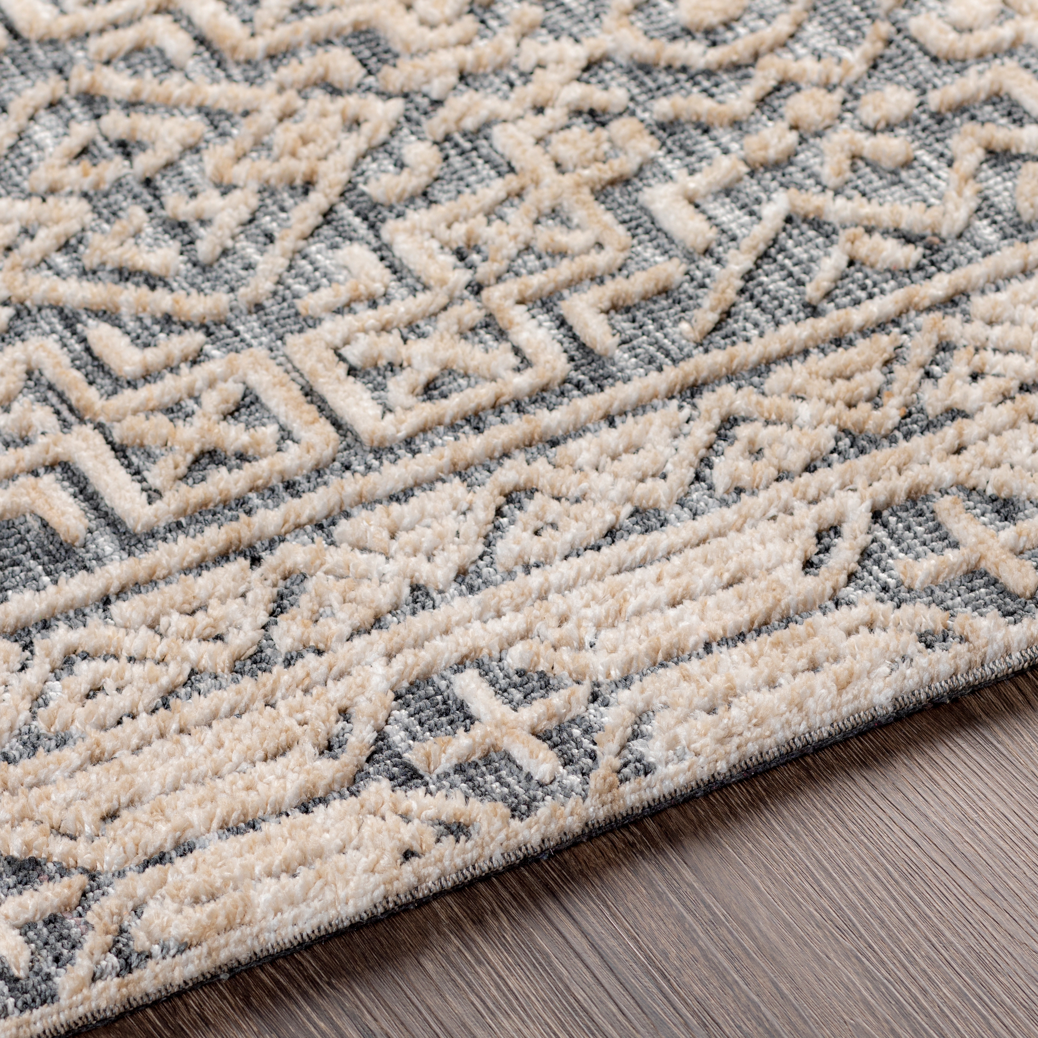 Talise Beige Indoor 2' x 3' Handmade Rug - Image 3