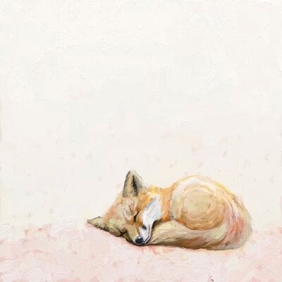 Curled up Fox by Cathy Walters - Wrapped Canvas Print - Image 0