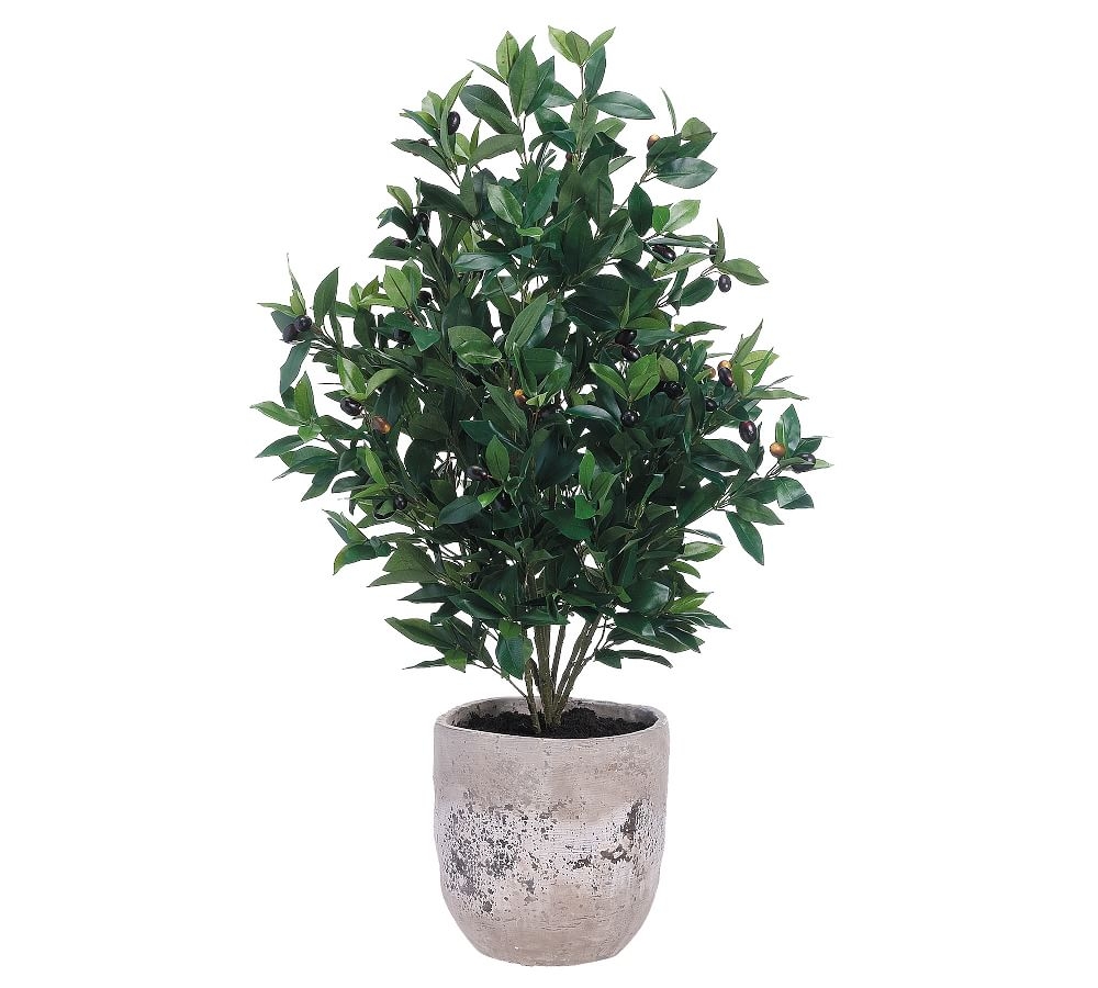 Faux Olive Tree In Cement Planter, 45" - Image 0