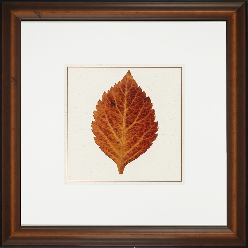 Wendover Art Group Nature Leaves II - Picture Frame Painting on Glass - Image 0