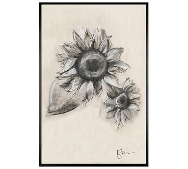 Charcoal Sunflower Sketch, Double Bloom, 28" x 42" Wood Gallery, Black, No Mat - Image 0
