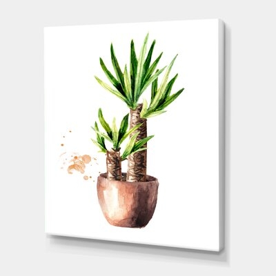 Yucca Tree In The Ceramic Flower Pot - Traditional Canvas Wall Art Print PT35486 - Image 0