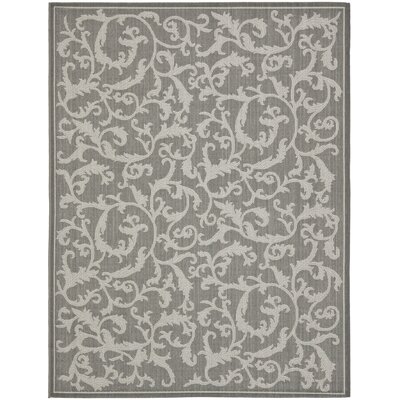 Lydie Floral Anthracite/Gray Indoor / Outdoor Area Rug - Image 0