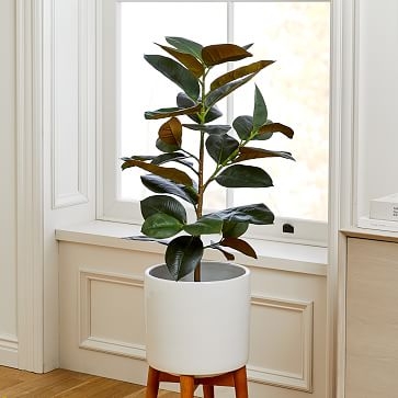 Faux Potted Rubber Tree, 39" - Image 1