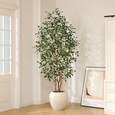 Adcock 8ft Artificial Ficus Tree with White Tall Planter, Faux Ficus Tree with Natural Trunk - Image 0