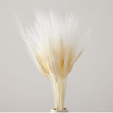 Dried White Bleached Winter Wheat, 24" - Image 1