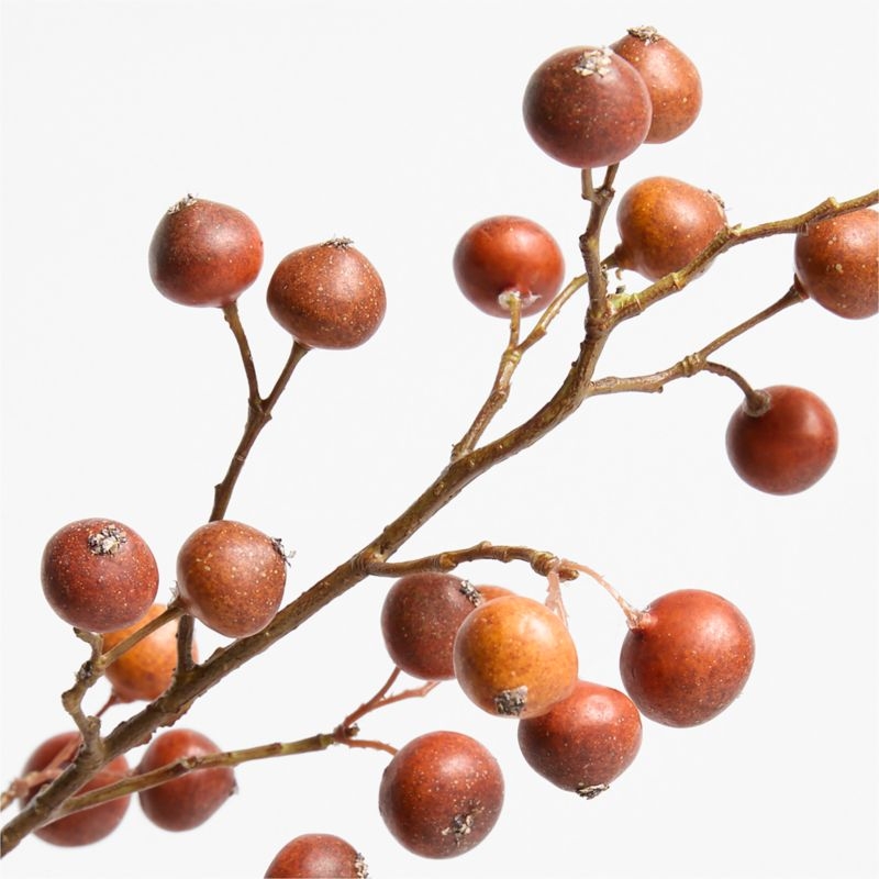 Faux Rose Hip Spray 34" by Abigail Ahern - Image 1