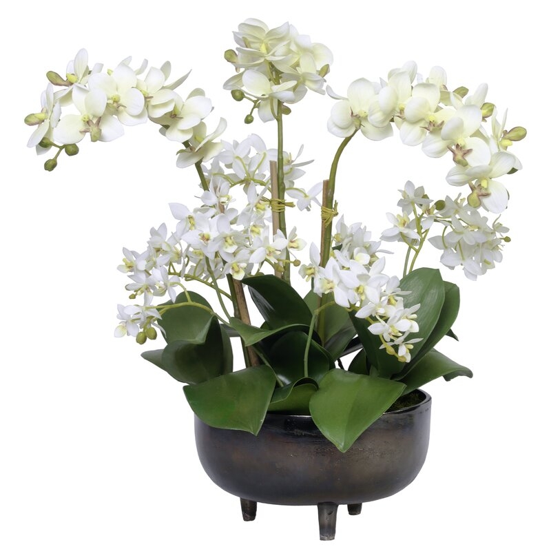 Diane James Home Phalaenopsis Orchids Floral Arrangement in Planter - Image 0
