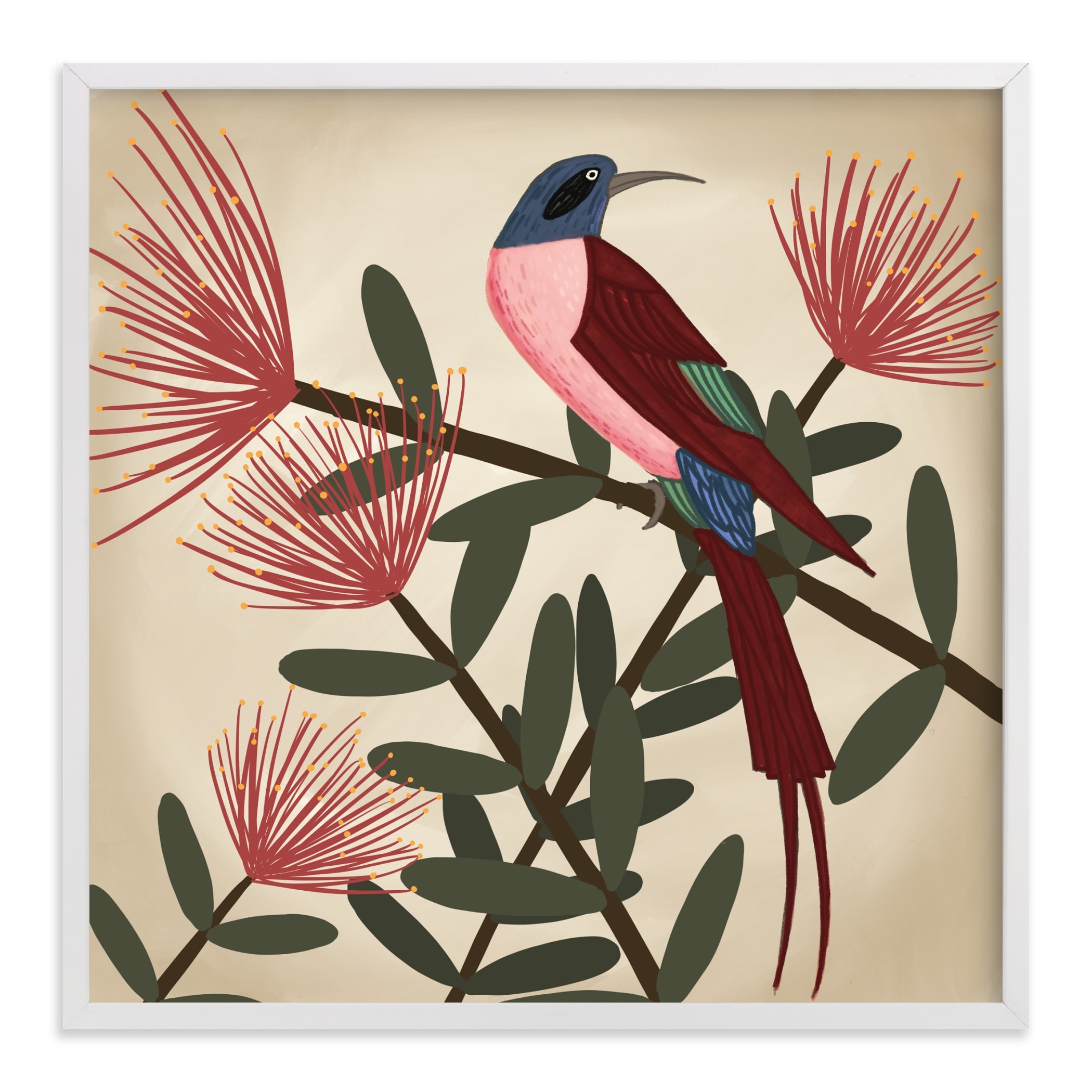 Bee Eater Limited Edition Fine Art Print 1 - Image 0