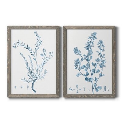Antique Botanical In Blue VIIPremium Framed Canvas - Ready To Hang - Image 0