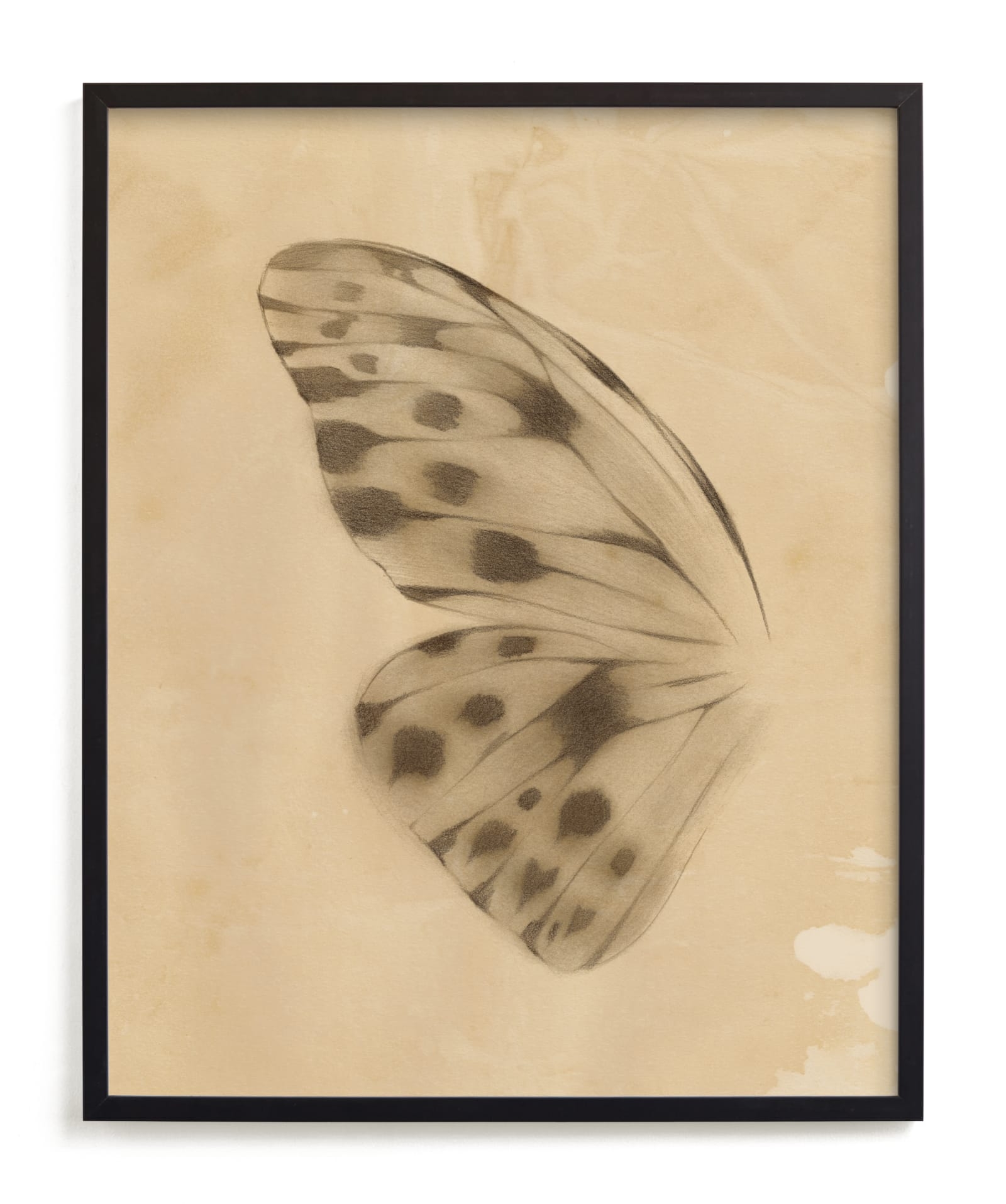 Vintage Mariposa I Limited Edition Fine Art Print 2 - Image 0