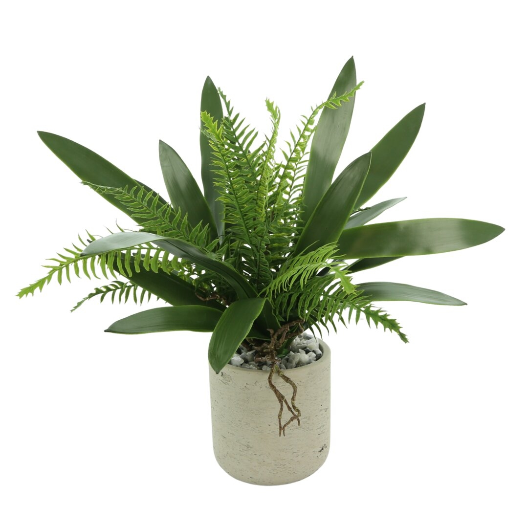 "Creative Displays, Inc. Mixed Cymbidium Leaf And Fern Plant" - Image 0